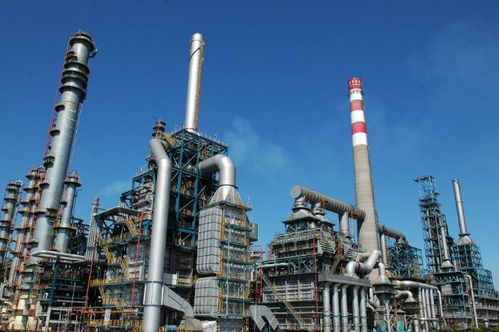 最嚴國六實施引發爭議 網友稱“國十也沒用”，企業管理服務能否破局？